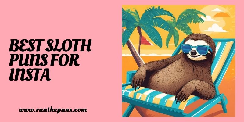 Best Sloth Puns for Insta