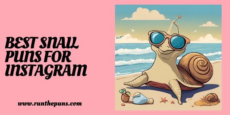 Best Snail Puns for Instagram