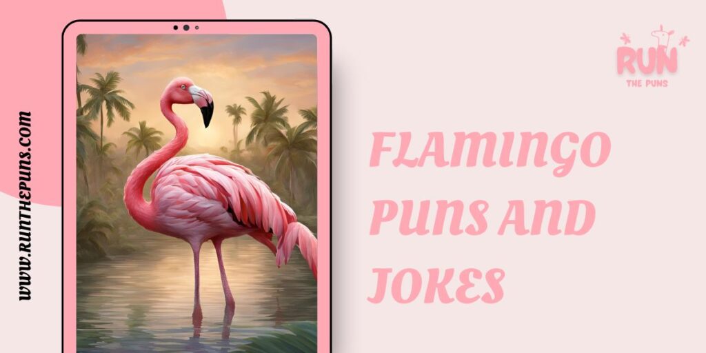 Flamingo Puns and Jokes