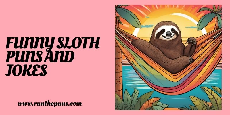 Funny Sloth Puns And Jokes