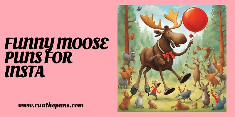 Funny Moose Puns For Insta