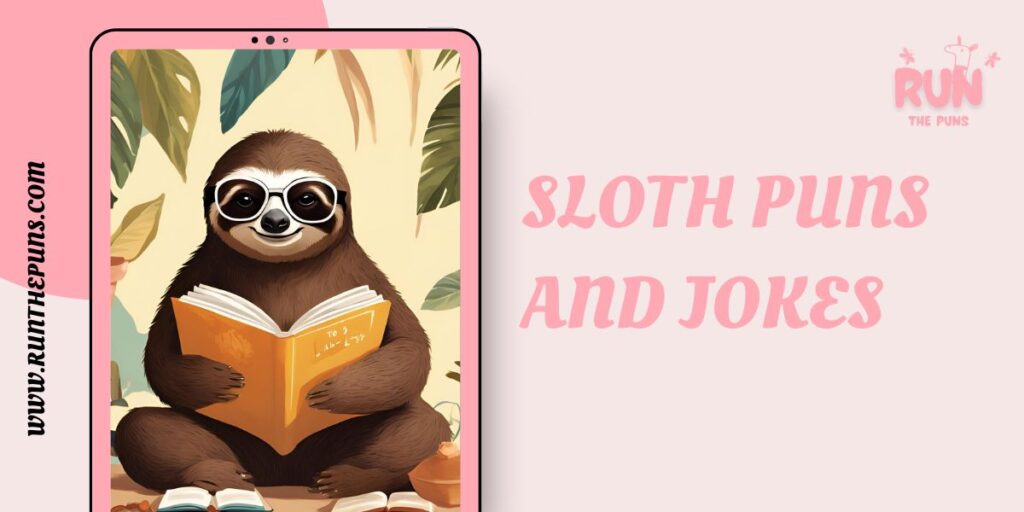 Sloth Puns and Jokes